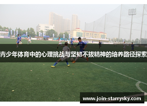 青少年体育中的心理挑战与坚韧不拔精神的培养路径探索